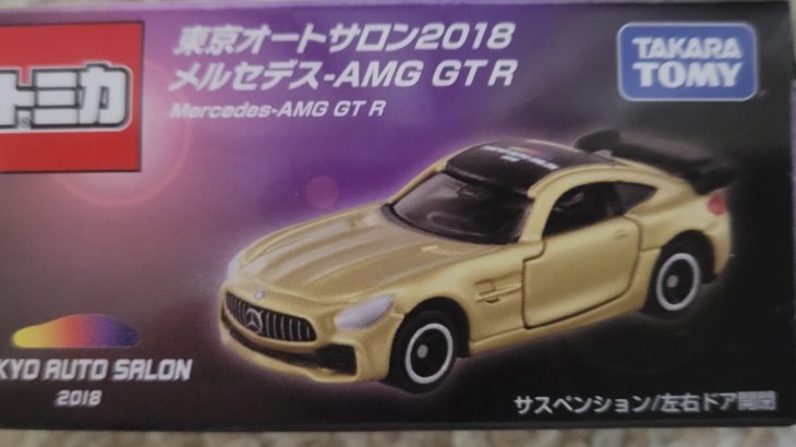 東京オートサロン 2018 メルセデス-AMG GT R